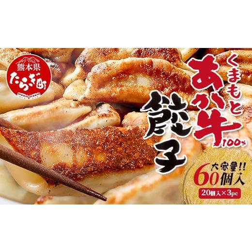 ふるさと納税 惣菜・レトルト 冷凍 熊本県 多良木町 餃子 くまもとあか牛 100% 餃子 計60個(20個×3パック) 冷凍 熊本県産 あか牛 ぎょうざ 惣菜 おかず …