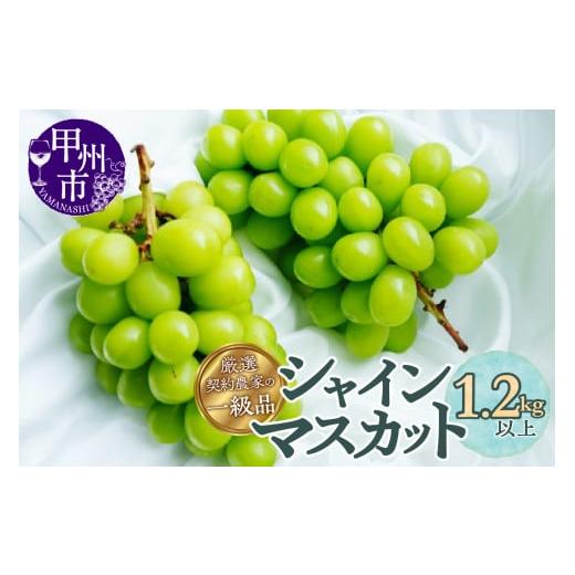 ふるさと納税 ぶどう マスカット 山梨県 甲州市 厳選契約農家の一級品 シャインマスカット1.2kg以上 2〜3房 2025年配送 (SFL)B12-430 2025年発送