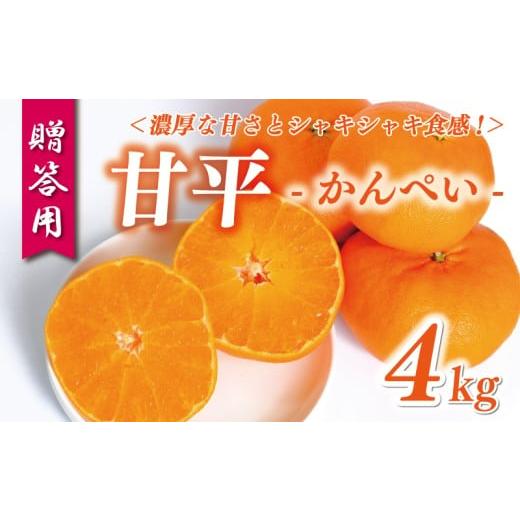 ふるさと納税 みかん・柑橘類 愛媛県 愛南町 贈答用 甘平 4kg 15000円 みかん mikan 蜜柑 ミカン かんぺい 高級 人気 ブランド プレミアム 産地直送 国産 農家…
