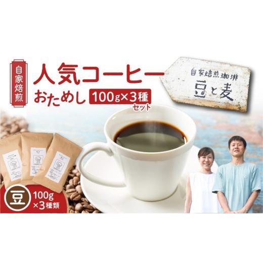 ふるさと納税 コーヒー コーヒー豆 鹿児島県 奄美市 自家焙煎 豆と麦の人気コーヒー(豆)お試し 100g×3種類セット A017-016-01 豆