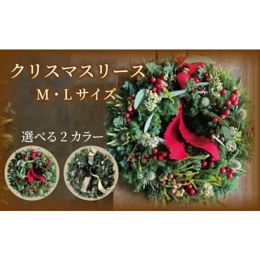ふるさと納税 雑貨・日用品 花 神奈川県 藤沢市 クリスマスリース クリスマス リース 先行予約 赤 花 期間限定ドライフラワー ドライリース フレッシュリース …