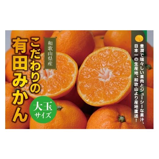 ふるさと納税 果物類 みかん 和歌山県 かつらぎ町 農家直送 有田みかん 約10kg 大玉3L以上 有機質肥料100% 2026年11月上旬〜12月下旬に順次発送予定(お届け日…