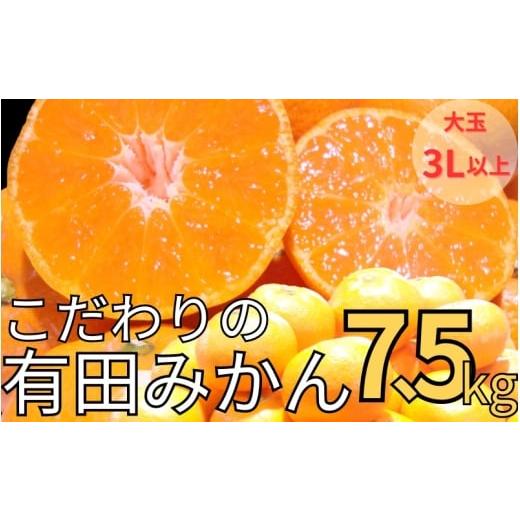 ふるさと納税 果物類 みかん 和歌山県 かつらぎ町 農家直送 有田みかん 約7.5kg 大玉3L以上 有機質肥料100% 2026年11月上旬〜12月下旬に順次発送予定(お届け…