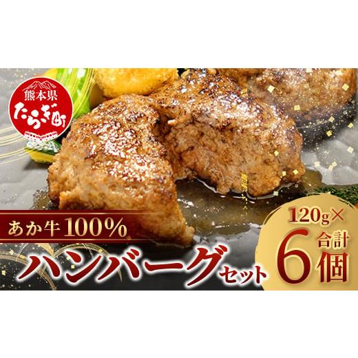ふるさと納税 牛肉 ハンバーグ 熊本県 多良木町 年内お届け あか牛 100%ハンバーグ セット 120g×6個 12/19-27発送 ハンバーグ あか牛 牛肉 肉 熊本産 国産…