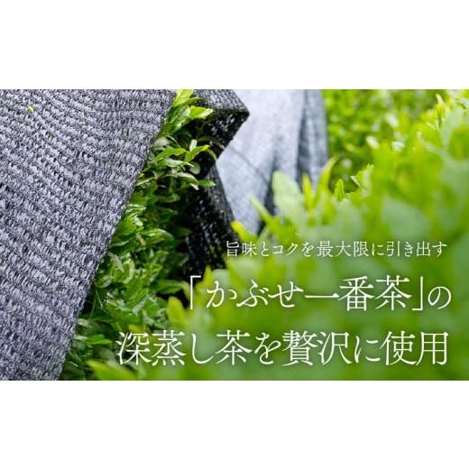 ふるさと納税 お茶類 鹿児島県 鹿屋市 特上煎茶 清紹庵 1kg（100g×10本） KN162-001-04の画像