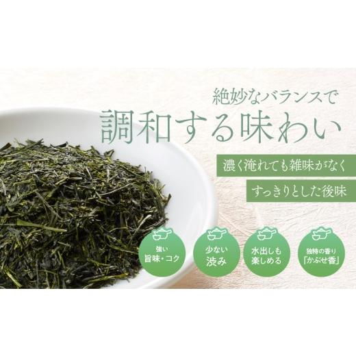 ふるさと納税 お茶類 鹿児島県 鹿屋市 特上煎茶 清紹庵 1kg（100g×10本） KN162-001-04の画像