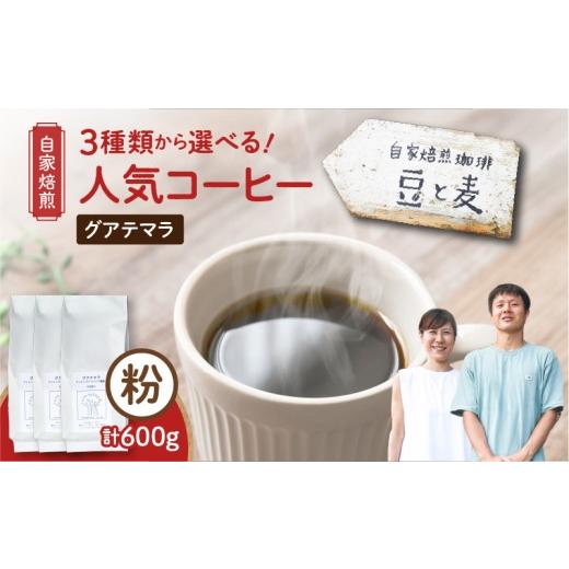 ふるさと納税 コーヒー コーヒー豆 鹿児島県 奄美市 自家焙煎 豆と麦 グアテマラ(粉) 計600g(200g×3袋) A017-019-02 (2)グアテマラ(中深煎り) 粉