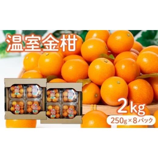 ふるさと納税 みかん・柑橘類 宮崎県 串間市 KU434 先行予約 温室金柑2kg(250g×8パック) 2kg(250g×8パック)