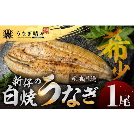 ふるさと納税 うなぎ 愛知県 豊橋市 山義養魚の『うなぎ晴々』 白焼 1尾 希少 豊橋うなぎ 厳選 国産 新仔うなぎ 若うなぎ 鰻 簡易包装 ウナギ 鰻 ギフト 土用…
