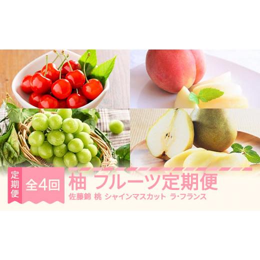 ふるさと納税 果物の詰合せ 山形県 村山市 先行予約 柚 フルーツ 定期便 全4回 さくらんぼ 佐藤錦 もも 白桃 ぶどう シャインマスカット ラ・フランス ギフト…