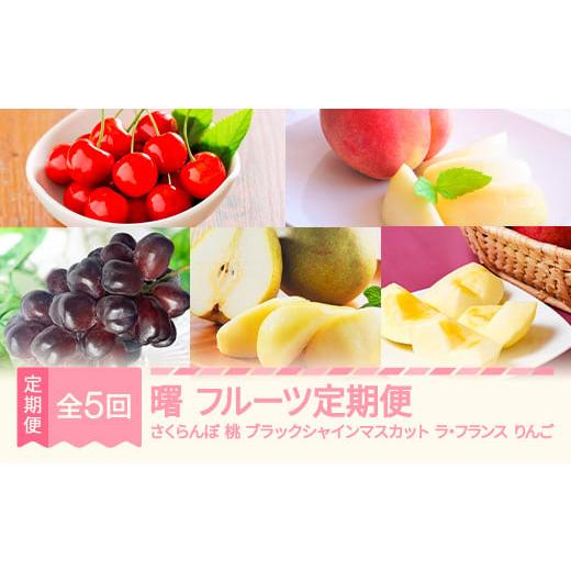 ふるさと納税 果物の詰合せ 山形県 村山市 先行予約 曙 フルーツ 定期便 全5回 さくらんぼ 佐藤錦 もも 白桃 ぶどう ブラックシャインマスカット ラ・フラン…
