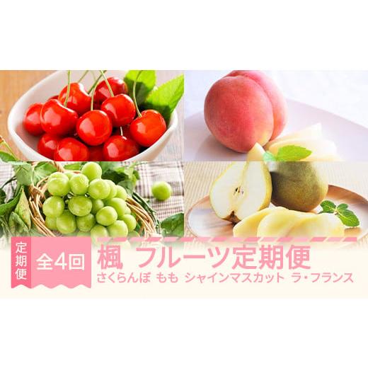 ふるさと納税 果物の詰合せ 山形県 村山市 先行予約 楓 フルーツ 定期便 全4回 ラ・フランス さくらんぼ 佐藤錦 もも 白桃 ぶどう シャインマスカット ギフト…