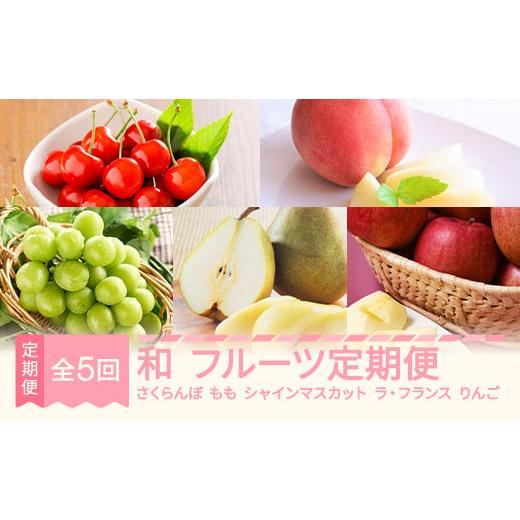 ふるさと納税 果物の詰合せ 山形県 村山市 先行予約 和 フルーツ 定期便 全5回 ラ・フランス りんご サンふじ さくらんぼ 佐藤錦 もも 白桃 ぶどう シャイン…