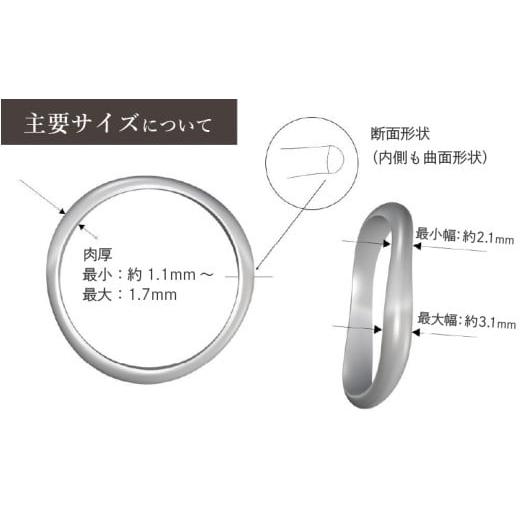 ふるさと納税 アクセサリー リング 福井県 坂井市 チタンリング／river／幅約3.5mm 1個 チタン製 日本製 リング 指輪 オールチタン 純チタン アクセサリー お…_5