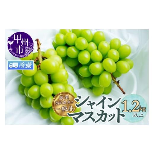 ふるさと納税 ぶどう マスカット 山梨県 甲州市 クール配送 厳選契約農家の一級品 シャインマスカット 1.2kg以上 2〜3房 2026年発送 (SFL)B12-430CO 2026年…