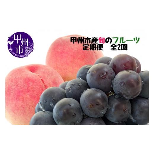 ふるさと納税 もも 山梨県 甲州市 定期便 甲州市産厳選旬のフルーツ定期便全2回(桃・巨峰) 2026年発送 (MG)B18-481 2026年発送 桃/巨峰