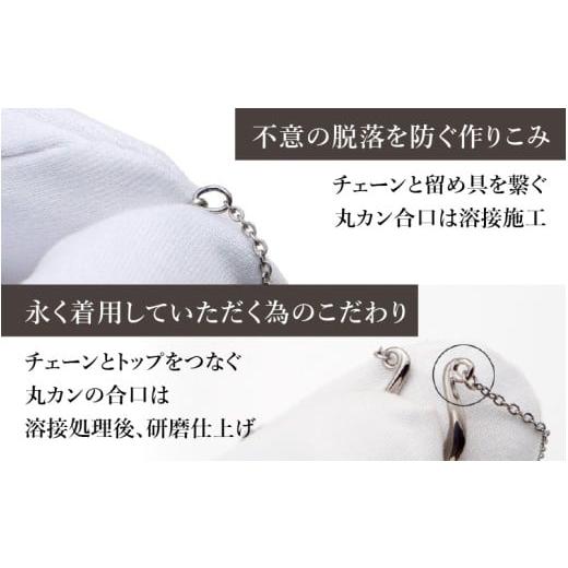 ふるさと納税 アクセサリー ネックレス 福井県 坂井市 天然 ダイヤ 0.014ct チタンネックレス／Horse Shoeアカンサス／ダイヤ石留 チェーンの長さ：42cm 幅1.3…_7