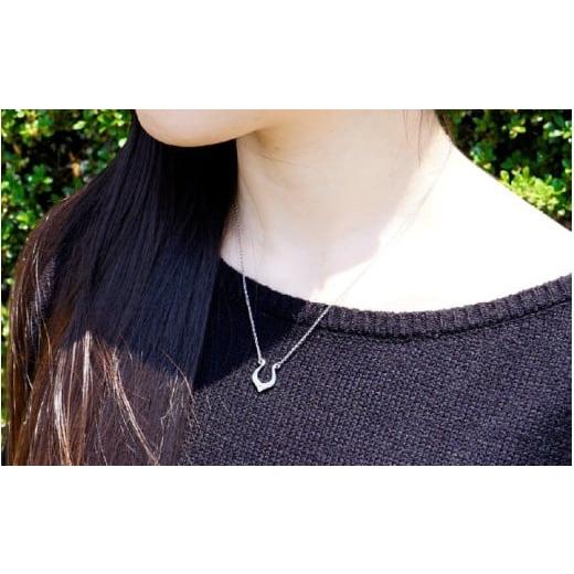ふるさと納税 アクセサリー ネックレス 福井県 坂井市 天然 ダイヤ 0.014ct チタンネックレス／Horse Shoeアカンサス／ダイヤ石留 チェーンの長さ：42cm 幅1.3…_8