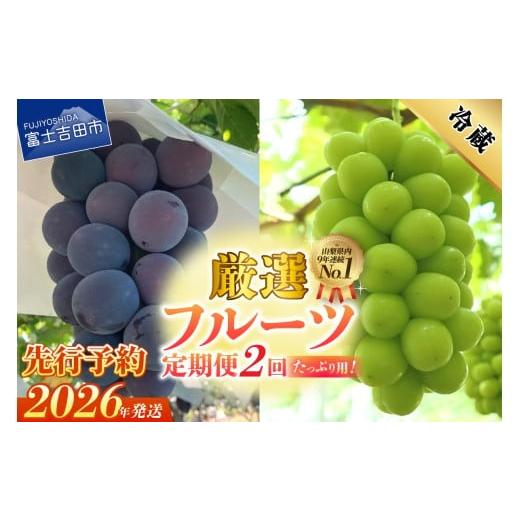 ふるさと納税 ぶどう マスカット 山梨県 富士吉田市 2026年発送 先行予約 2回定期便 厳選 旬のフルーツ定期便(黒ぶどう1kg以上・シャインマスカット1kg以上…