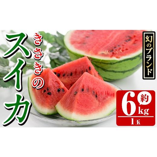 ふるさと納税 スイカ 鹿児島県 阿久根市 先行予約受付中 2026年7月上旬以降順次発送予定 幻のブランド「きさきのスイカ」(1玉・約6kg) スイカ すいか 西瓜 果…