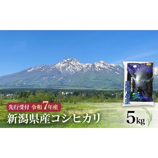 ふるさと納税 米 コシヒカリ 新潟県 上越市 令和7年産 コシヒカリ 10月中旬より順次発送 新潟県産コシヒカリ 5kg 上越市 米 こめ コメ お取り寄せ