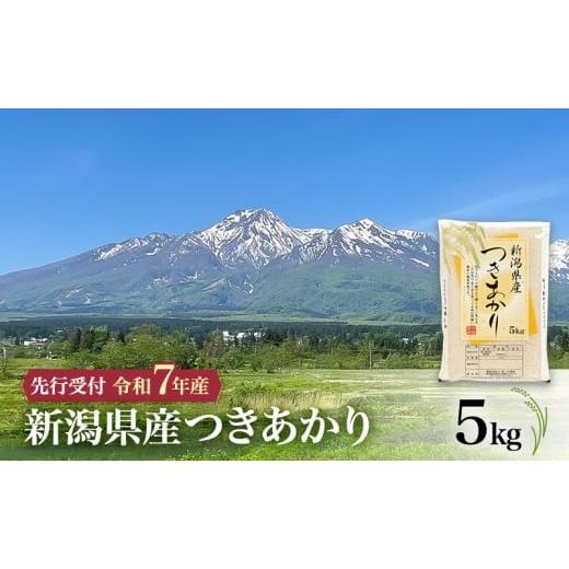 ふるさと納税 米 新潟県 上越市 令和7年産 つきあかり 10月中旬より順次発送 新潟県産つきあかり 5kg 上越市 米 こめ コメ お取り寄せ