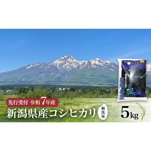 ふるさと納税 米 コシヒカリ 新潟県 上越市 令和7年産 | 無洗米 コシヒカリ 10月中旬より順次発送 無洗米 新潟県産コシヒカリ 5kg 上越市 米 こめ コメ お…