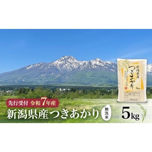 ふるさと納税 米 新潟県 上越市 令和7年産 | 無洗米 つきあかり 10月中旬より順次発送 無洗米 新潟県産つきあかり 5kg 上越市 米 こめ コメ お取り寄せ