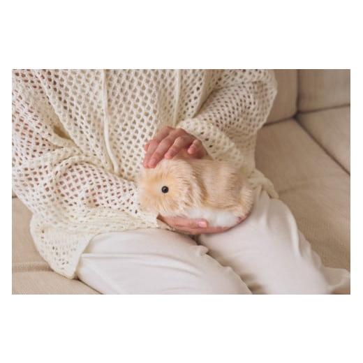 浮世英寿 着用コート 簡秀吉/kan hideyoshi | #12🦊 Thank you . 英寿