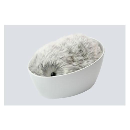 ふるさと納税 電化製品 山形県 東根市 CASIO AIペットロボット「Moflin