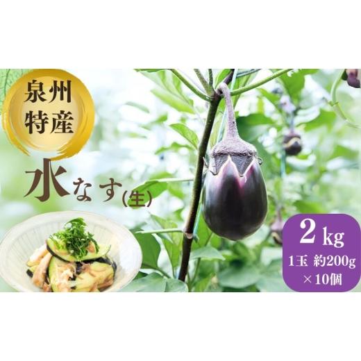 ふるさと納税 野菜類 茄子 大阪府 岸和田市 泉州特産 水なす(生) 200g×10個 ナス 茄子 なす 泉州産 水なす 岸和田 岸和田市 岸和田産  