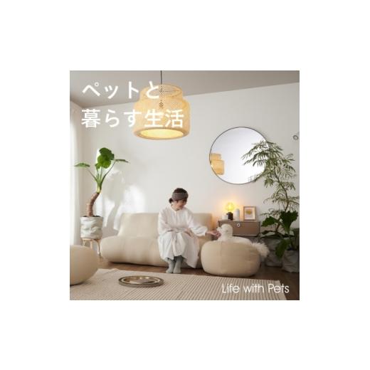 ふるさと納税 雑貨・日用品 愛知県 岡崎市  ハナロロ ペットベット アンティークレザーカバー M(クリーム) 1646032_2