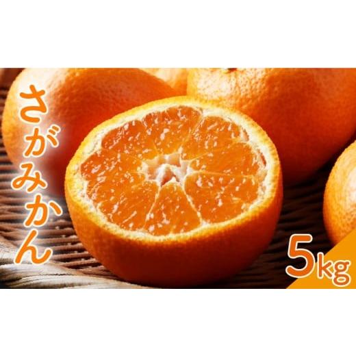 ふるさと納税 果物類 みかん 佐賀県 大町町 先行予約・選べる内容量 10月以降順次発送 柑橘の名産地 佐賀産さがみかん約5kg箱 /ふるさと納税 佐賀 みかん オ…