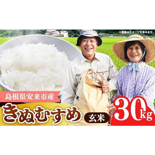 ふるさと納税 玄米 島根県 安来市 島根県安来市産 きぬむすめ 30kg 令 