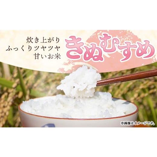 ふるさと納税 玄米 島根県 安来市 島根県安来市産 きぬむすめ 30kg 令