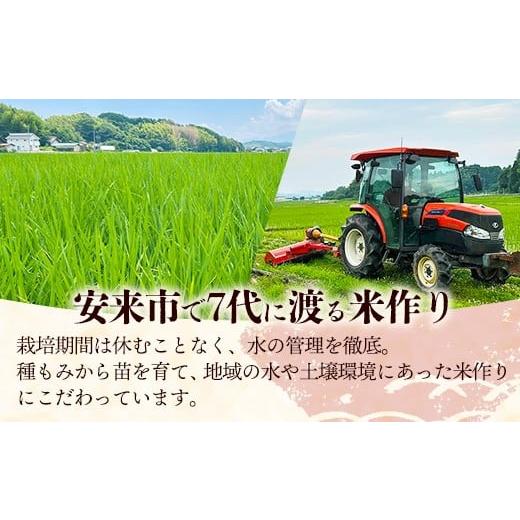 ふるさと納税 玄米 島根県 安来市 島根県安来市産 きぬむすめ 30kg 令