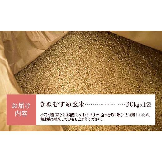 ふるさと納税 玄米 島根県 安来市 島根県安来市産 きぬむすめ 30kg 令