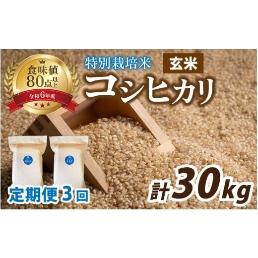 ふるさと納税 米 コシヒカリ 福井県 南越前町 3ヶ月連続お届け 令和7年産 新米 南条米 新米 特別栽培米コシヒカリ 真空パック 玄米 10kg(5kg×2袋)×3ヶ月 (…