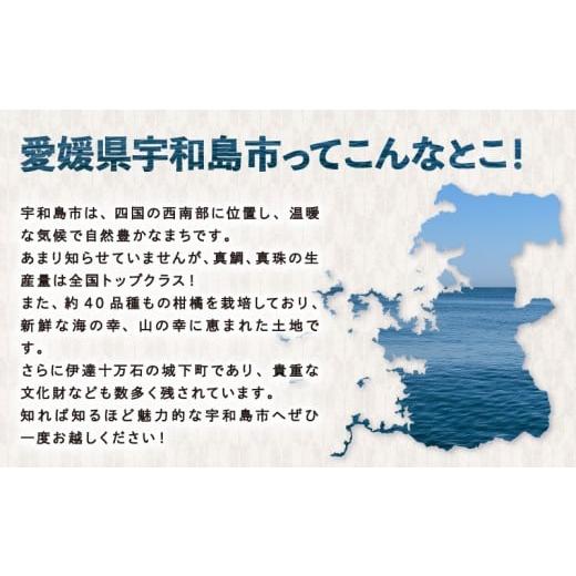 ふるさと納税 加工品等 はちみつ 愛媛県 宇和島市 ＼10営業日以内発送／ 巣蜜 コムハニー 250g × 3個 セット 宇和島農産 ハチミツ 蜜 百花蜜 巣みつ 巣ミツ …の画像