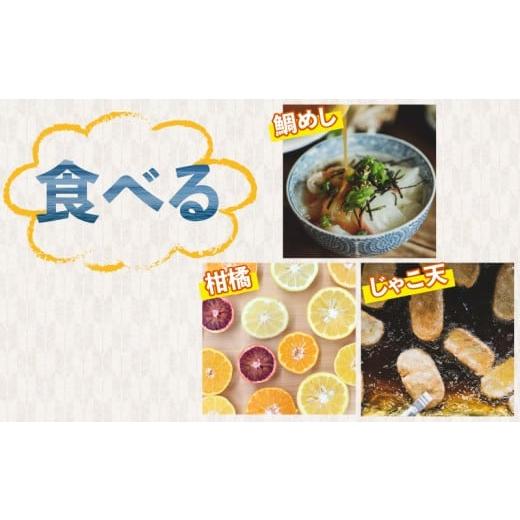 ふるさと納税 加工品等 はちみつ 愛媛県 宇和島市 ＼10営業日以内発送／ 巣蜜 コムハニー 250g × 3個 セット 宇和島農産 ハチミツ 蜜 百花蜜 巣みつ 巣ミツ …の画像