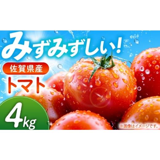 ふるさと納税 野菜類 トマト 佐賀県 嬉野市 佐賀県産 トマト 4kg JAさが