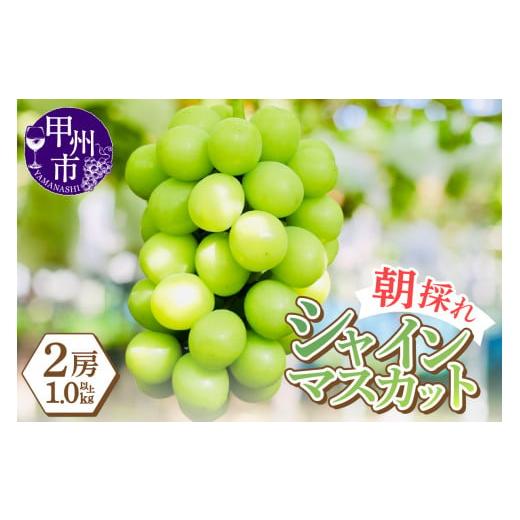 ふるさと納税 ぶどう マスカット 山梨県 甲州市 感謝を込めて最高の朝採りシャインマスカットをお贈りします 1.0kg以上(2房) 2026年発送 (LMS)B-416 2026…