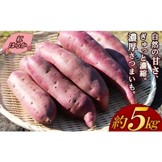 ふるさと納税 野菜類 サツマイモ 静岡県 三島市 予約受付中 三島甘藷 約 5kg 紅はるか 山北印 さつまいも さつま芋 産地直送 野菜 冬野菜 焼き芋 芋 やきいも…