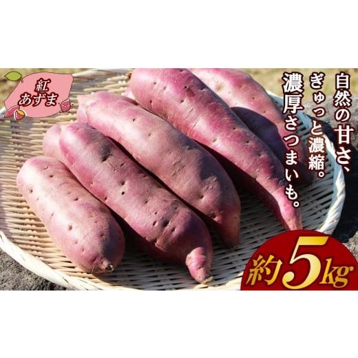 ふるさと納税 野菜類 サツマイモ 静岡県 三島市 予約受付中 三島甘藷 約 5kg 紅あずま 山北印 さつまいも さつま芋 産地直送 野菜 冬野菜 焼き芋 芋 やきいも…