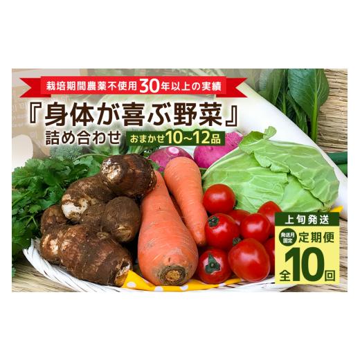 ふるさと納税 セット・詰合せ 茨城県 潮来市  発送月固定定期便 『身体が喜ぶ野菜』詰め合わせ ( おまかせ 10〜12品) 定期便 野菜 詰合せ 上旬発送全10回 詰め…_1