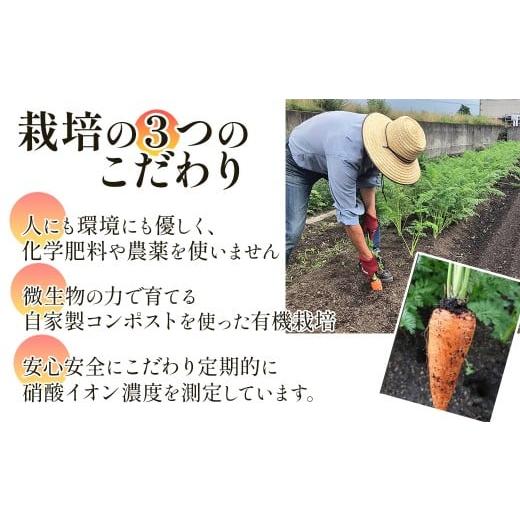 ふるさと納税 果汁飲料 にんじん 愛媛県 西条市 人参ジュース「ザ・人参」150gパウチ×10個セット　栽培期間中農薬不使用のにんじん100％使用｜ 愛媛県西条市 …_5