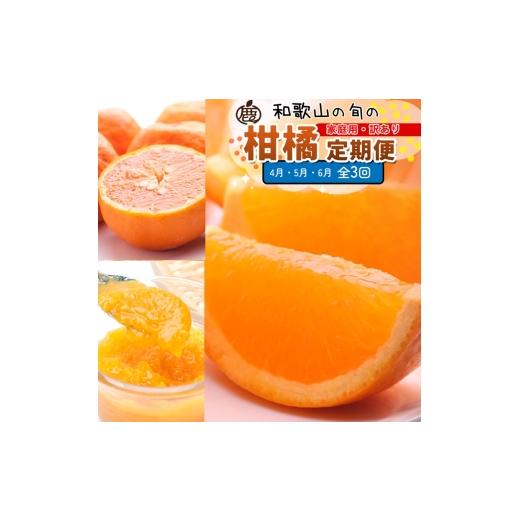 ふるさと納税 果物類 みかん 和歌山県 美浜町  定期便 家庭用 柑橘定期便 M 3回（4〜6月） 北海道・沖縄・離島への配送不可 4月・5月・6月に発送_1