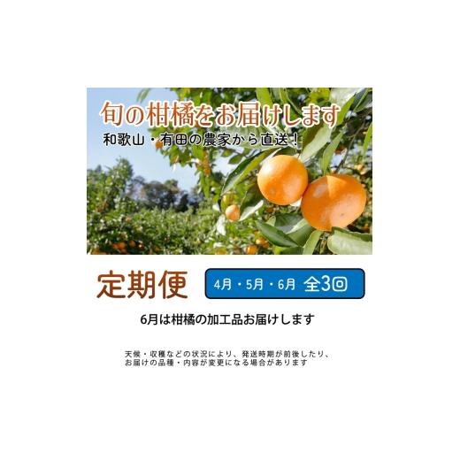 ふるさと納税 果物類 みかん 和歌山県 美浜町  定期便 家庭用 柑橘定期便 M 3回（4〜6月） 北海道・沖縄・離島への配送不可 4月・5月・6月に発送_2