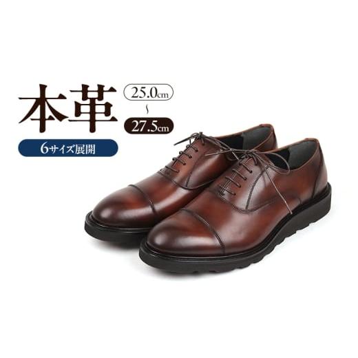 ふるさと納税 ファッション 靴 奈良県 大和郡山市 1288 カジュアルシューズ ストレートチップ 3Eウィズ DBR(ダークブラウン) メンズ ファッション 靴 シュ…