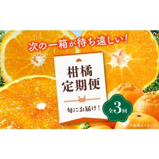 ふるさと納税 みかん・柑橘類 愛媛県 大洲市 全3回定期便 大洲の旬果をお届け 柑橘定期便 愛媛県大洲市/フジ アグリフーズ AGBA021 先行予約 みかん ミカン…